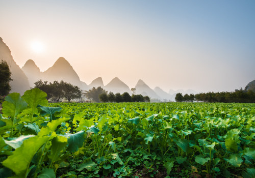 The Importance of Natural Recycling on Earth