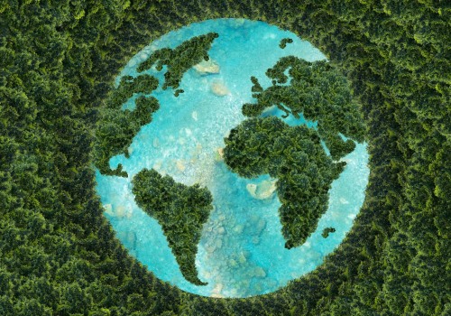 The Devastating Effects of Not Recycling on Our Planet